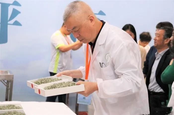 有关于“中国白茶之乡”民间斗茶赛：“工匠”竞技茶香飘的新闻(1)
