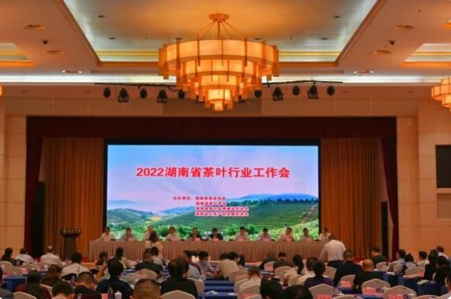 有关于“文化”“科技”双轮驱动,湘茶产业产值突破千亿大关的消息