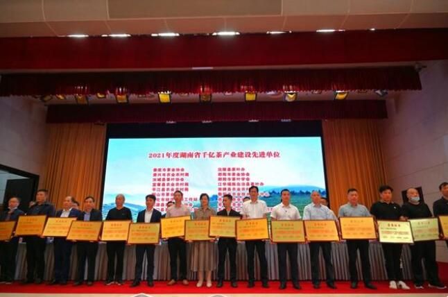 有关于“文化”“科技”双轮驱动,湘茶产业产值突破千亿大关的消息(4)
