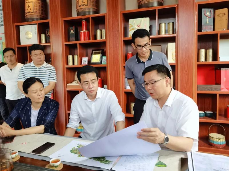 关于讲好“茶船古道”故事，助力乡村振兴，范洪亮到六堡镇开展调研活动的最新消息