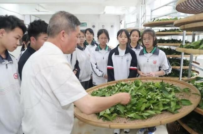 有关于武夷山 手工制茶上课堂 茶乡教育更出彩的相关内容