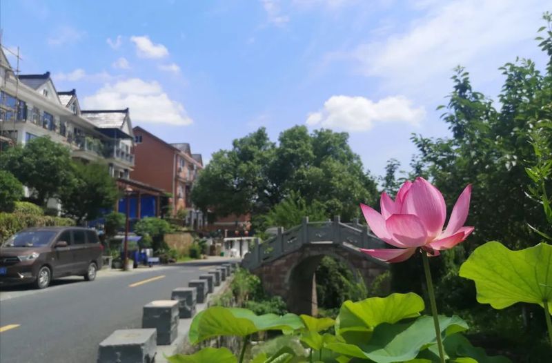 有关于浙江省未来乡村建设巡礼 ，杭州长埭村：“茶+艺术”助推乡村蝶变的消息(1)