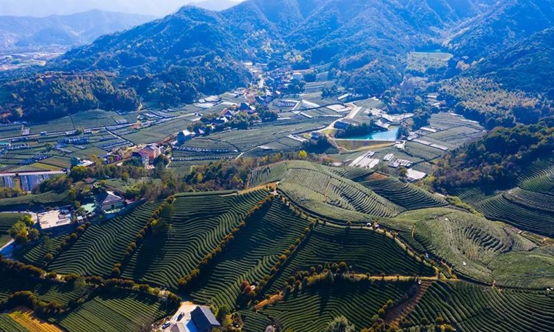 有关于浙江省未来乡村建设巡礼 ，杭州长埭村：“茶+艺术”助推乡村蝶变的消息