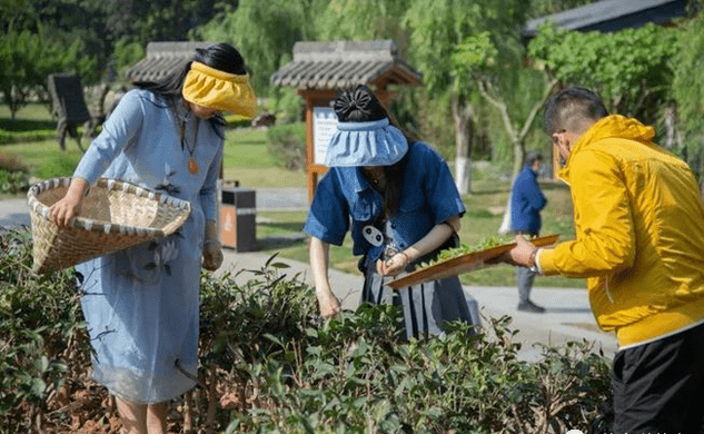 有关于成都茶文化公园：川茶文化的展示窗口 时尚生活的体验基地的资讯(3)