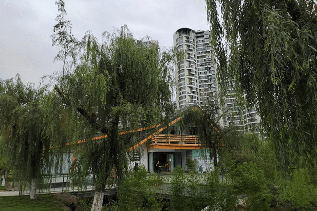 有关于成都茶文化公园：川茶文化的展示窗口 时尚生活的体验基地的资讯(5)