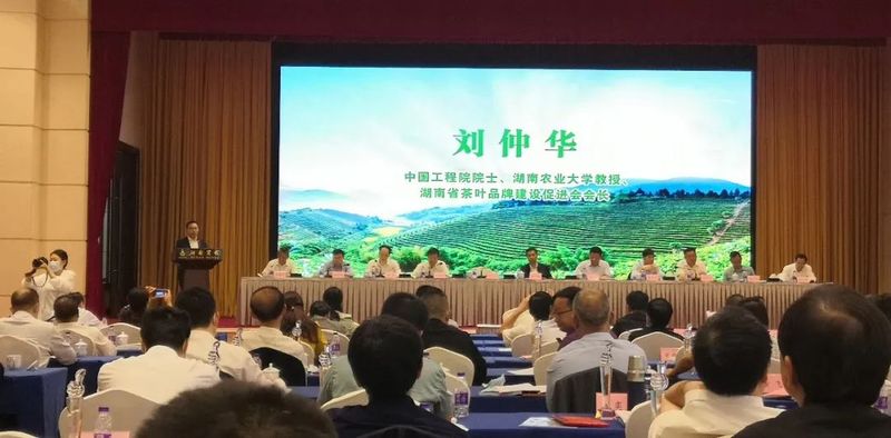 关于2022湖南省茶叶行业工作会议召开,邵阳获多项荣誉的消息