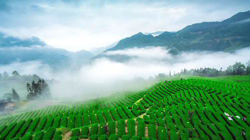 有关于2022全国茶旅精品线路候选线路欣赏：世界硒都古寨茶旅融合精品线路的消息(1)