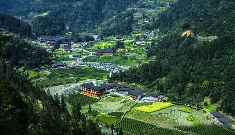 有关于2022全国茶旅精品线路候选线路欣赏：世界硒都古寨茶旅融合精品线路的消息(8)