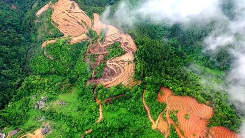 有关于岑溪市累计完成新种植茶园8.34万亩的信息