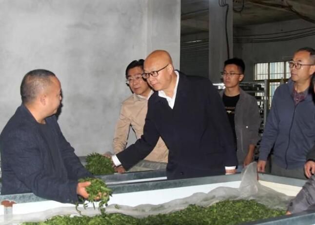 有关于冉博到都匀市归兰水族乡调研茶产业发展情况的资讯(1)