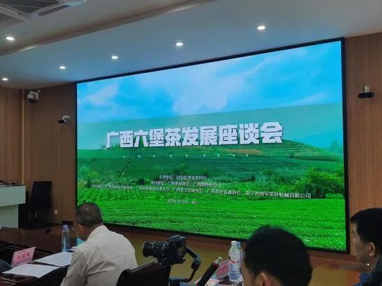 关于广西大力发展六堡茶产业 助力乡村振兴的相关内容