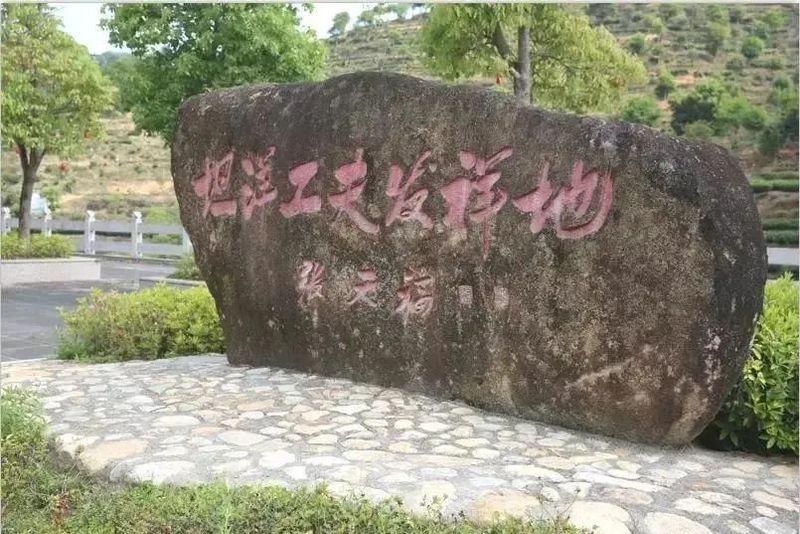 有关于占位引领,这个红茶产区如何做好“领头羊”?的新闻(3)