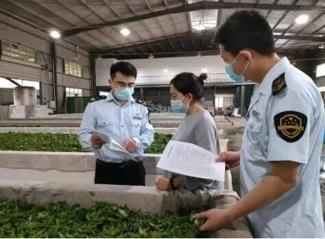 关于祁门:开展茶叶风险监测抽检行动 推动绿色茶园联防联控的资讯(1)