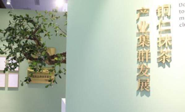 有关于佳茗藏不住 铜仁“一片绿叶”写传奇的相关内容(2)