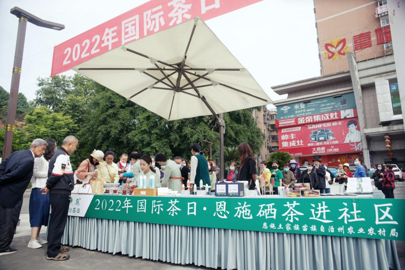 关于恩施硒茶进社区 全民推广正当时!的最新消息(5)