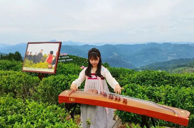 关于全国唯一分会场!5月21日国际茶日,看茶乡平利!的最新消息(9)