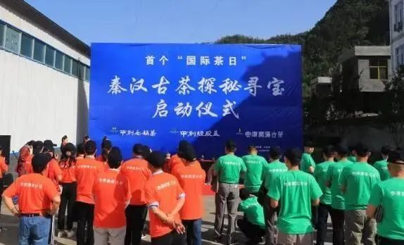 关于全国唯一分会场!5月21日国际茶日,看茶乡平利!的最新消息(5)
