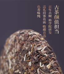 关于全国唯一分会场!5月21日国际茶日,看茶乡平利!的最新消息(19)