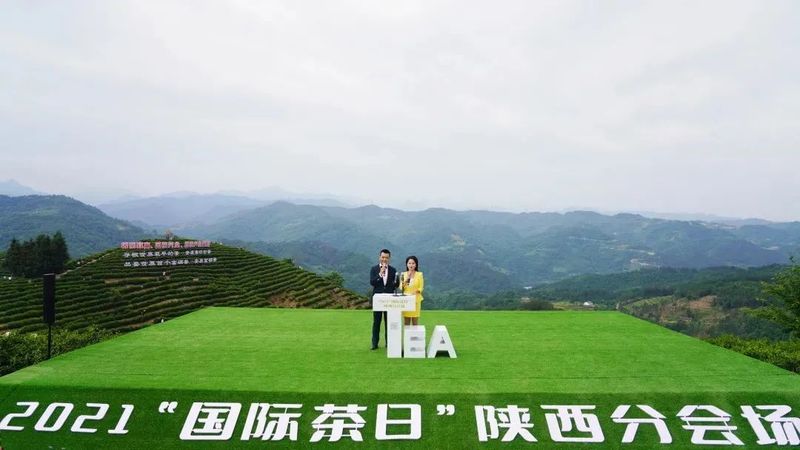关于全国唯一分会场!5月21日国际茶日,看茶乡平利!的最新消息(7)