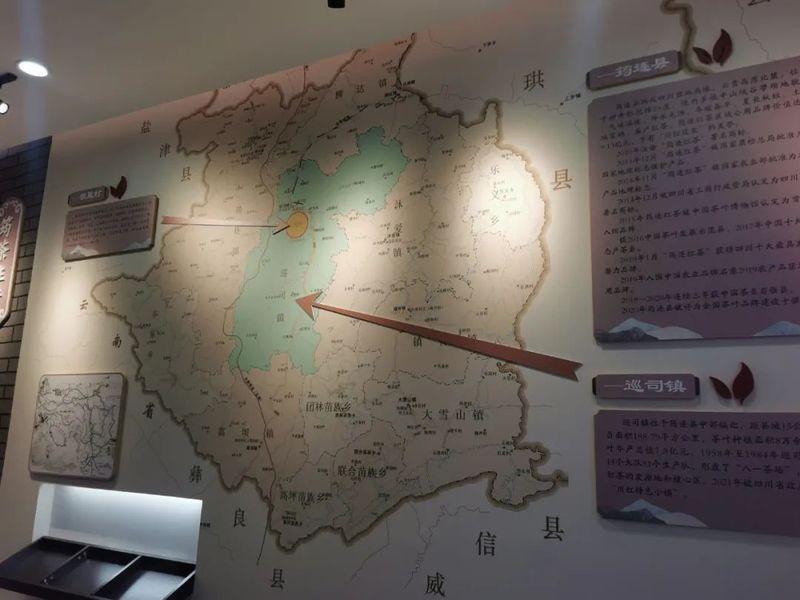 关于探访川红故里 挖掘川红工夫文化 努力推动川红工夫振兴发展的消息(12)