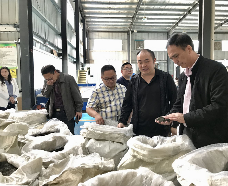 关于探访川红故里 挖掘川红工夫文化 努力推动川红工夫振兴发展的消息(7)