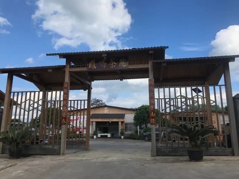 关于探访川红故里 挖掘川红工夫文化 努力推动川红工夫振兴发展的消息(9)