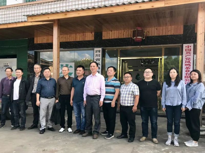 关于探访川红故里 挖掘川红工夫文化 努力推动川红工夫振兴发展的消息(10)