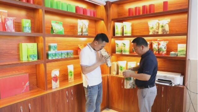 有关于德庆高良镇：发展单枞茶产业助力老区人民致富的新闻(2)