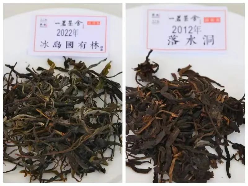 有关于“品老茶 赏新茶”东莞“国际茶日”引导喝老茶藏新茶的消费习惯的相关信息(1)