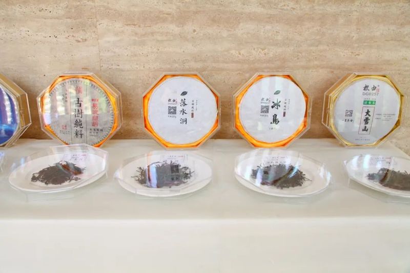 有关于“品老茶 赏新茶”东莞“国际茶日”引导喝老茶藏新茶的消费习惯的相关信息(5)