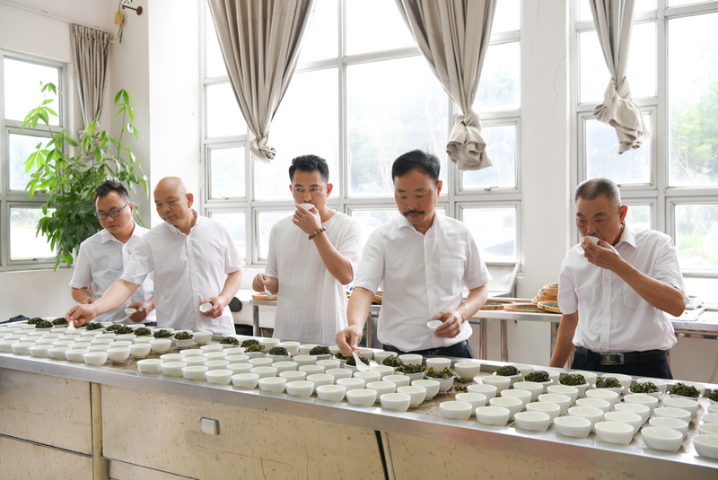 有关于“王”的盛宴！18万“醉西施”茶王品鉴会揭开面纱！的消息(9)