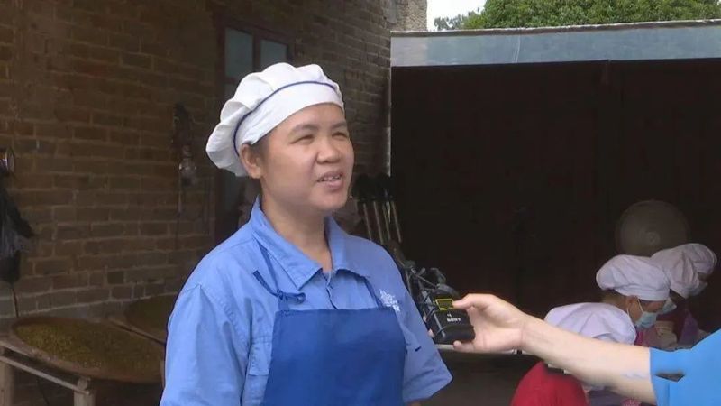 有关于六堡镇:茶旅融合走出乡村振兴新路子的相关内容(7)