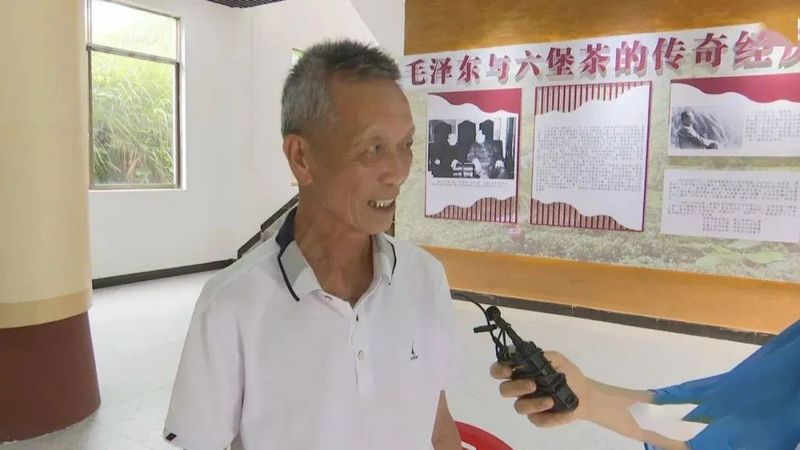 有关于六堡镇:茶旅融合走出乡村振兴新路子的相关内容(2)