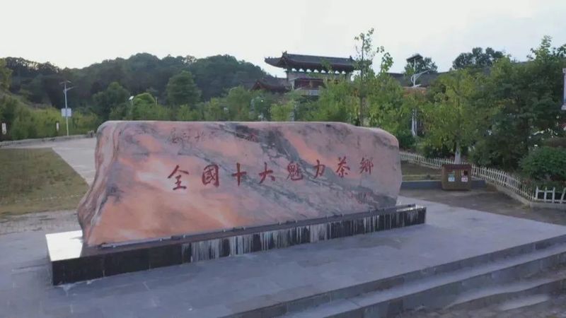 有关于六堡镇:茶旅融合走出乡村振兴新路子的相关内容(5)