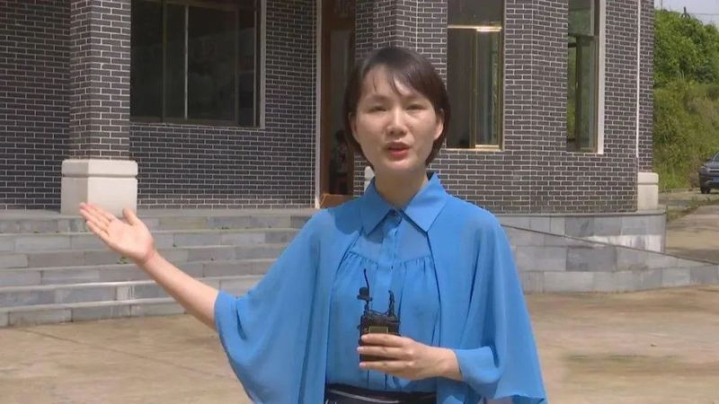有关于六堡镇:茶旅融合走出乡村振兴新路子的相关内容(1)