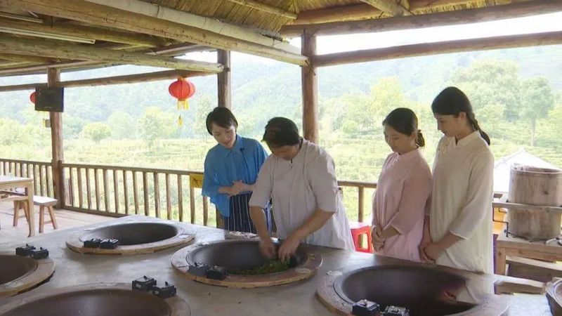 有关于六堡镇:茶旅融合走出乡村振兴新路子的相关内容(9)