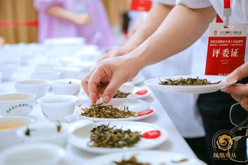 有关于2022潮州市凤凰单丛茶王争霸赛落幕 潮州市委书记何晓军出席颁奖典礼并为茶王颁奖的相关内容(1)