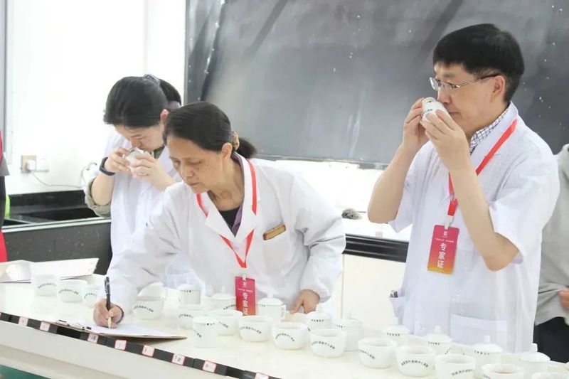 有关于“茶和世界·共品共享”福安市第十七届“坦洋工夫”杯斗茶赛成功举办的最新消息(4)