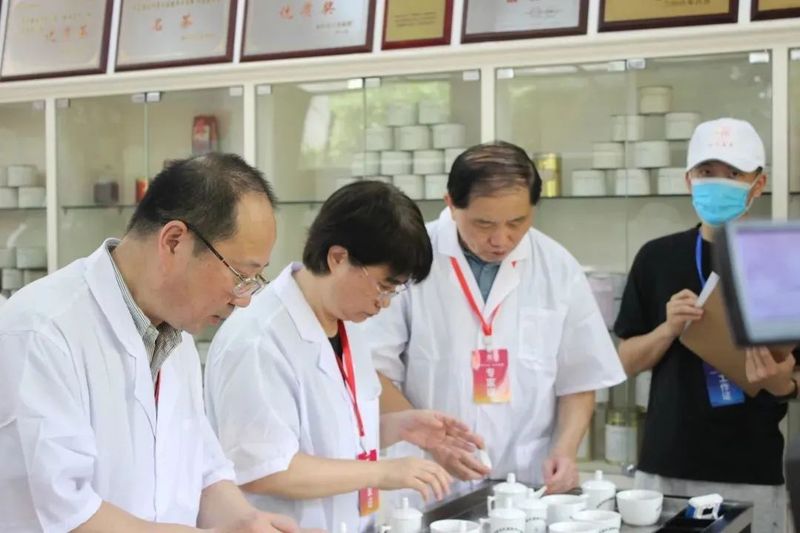 有关于“茶和世界·共品共享”福安市第十七届“坦洋工夫”杯斗茶赛成功举办的最新消息(6)