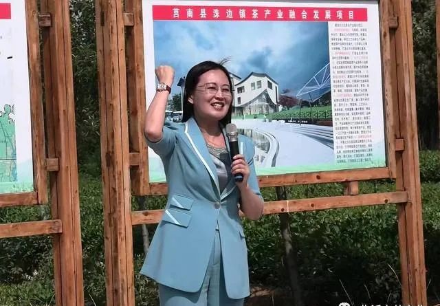 有关于临沂市食协茶产业专业委员会开展沂蒙山白茶生产工艺培训活动的信息
