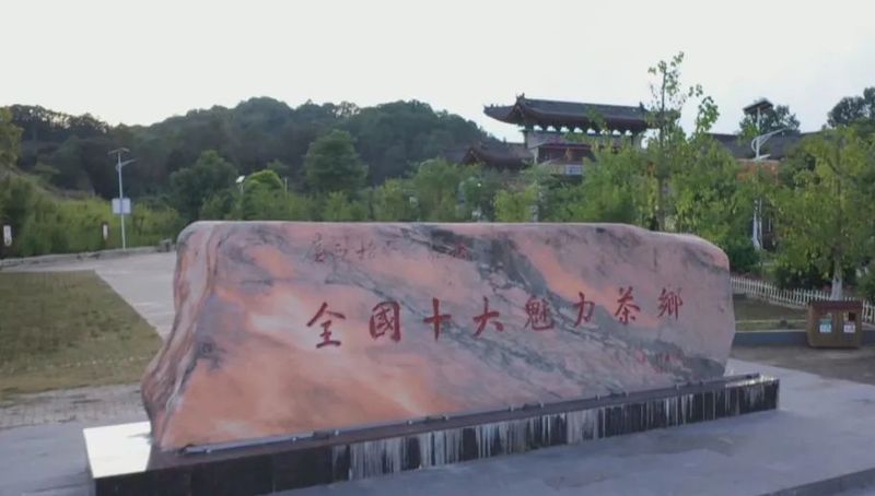 有关于六堡镇:茶旅融合走出乡村振兴新路子的内容(5)
