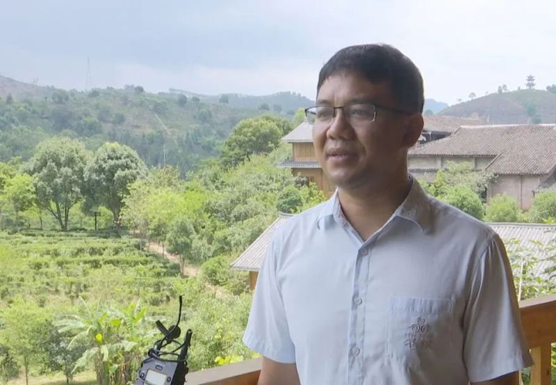 有关于六堡镇:茶旅融合走出乡村振兴新路子的内容(11)