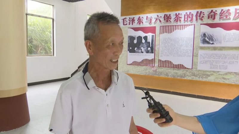 有关于六堡镇:茶旅融合走出乡村振兴新路子的内容(2)