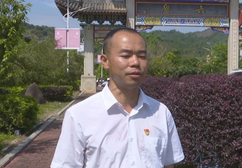 有关于六堡镇:茶旅融合走出乡村振兴新路子的内容(13)