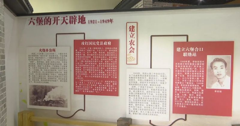 有关于六堡镇:茶旅融合走出乡村振兴新路子的内容(4)
