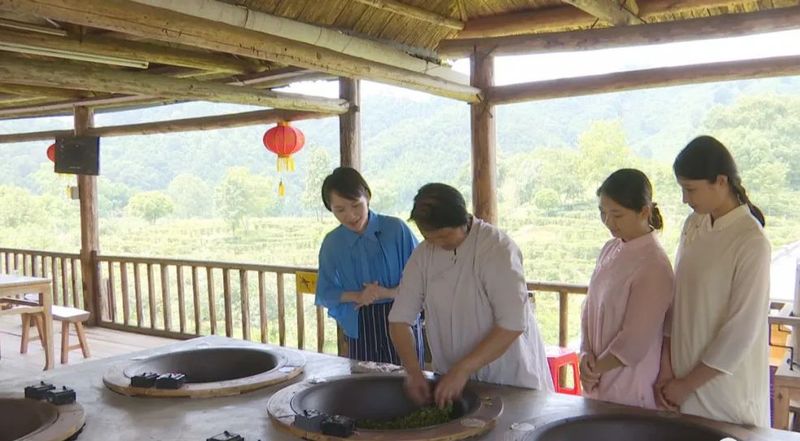 有关于六堡镇:茶旅融合走出乡村振兴新路子的内容(9)