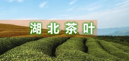 关于 湖北提出2025年油茶全产业链产值超500亿元的内容