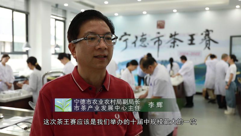 关于宁德市第十届茶王赛开赛，福鼎茶企包揽两大茶王的消息(5)