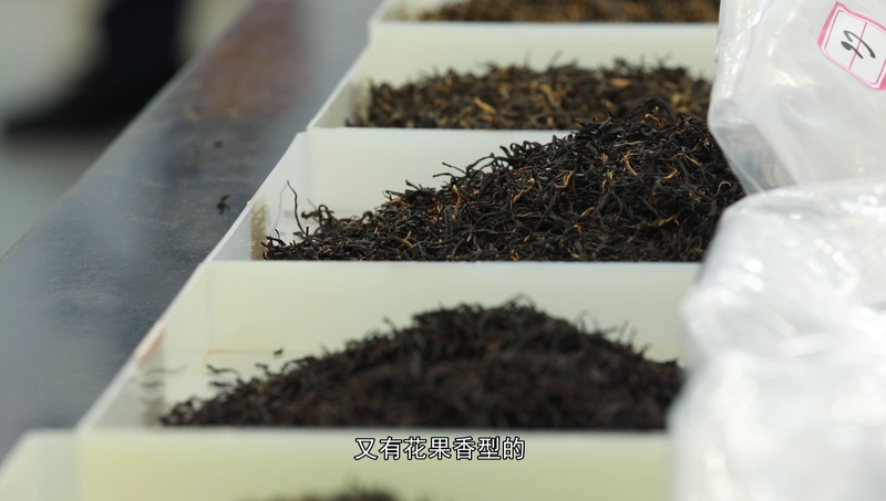 关于宁德市第十届茶王赛开赛，福鼎茶企包揽两大茶王的消息(8)