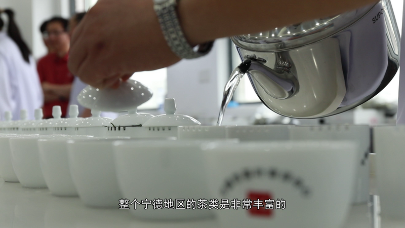 关于宁德市第十届茶王赛开赛，福鼎茶企包揽两大茶王的消息(11)